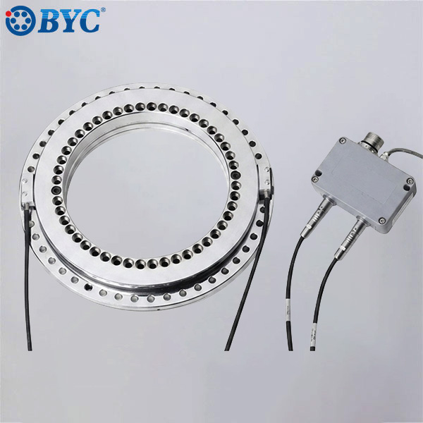 BRTM Series Rotary Table Bearings