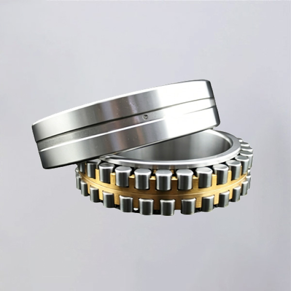 Double Row Cylindrical Roller Bearings