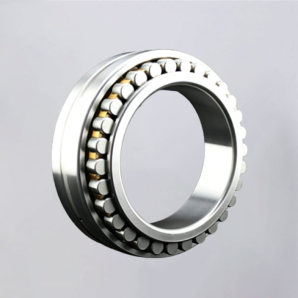 Double Row Cylindrical Roller Bearings