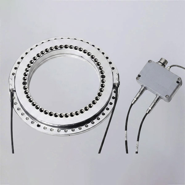 BRTM Series Rotary Table Bearings