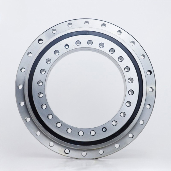 BLDF Series Rotary Table Bearings