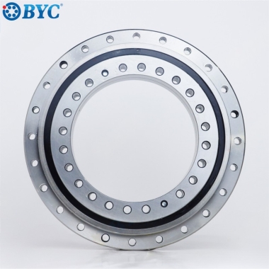 BLDF Series Rotary Table Bearings